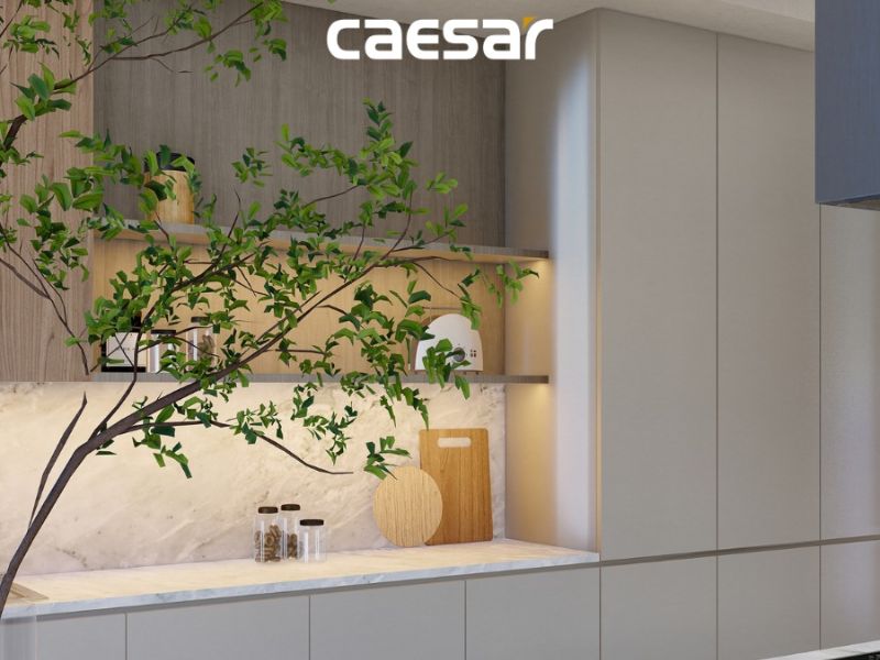 Các loại sản phẩm của tủ bếp Caesar
