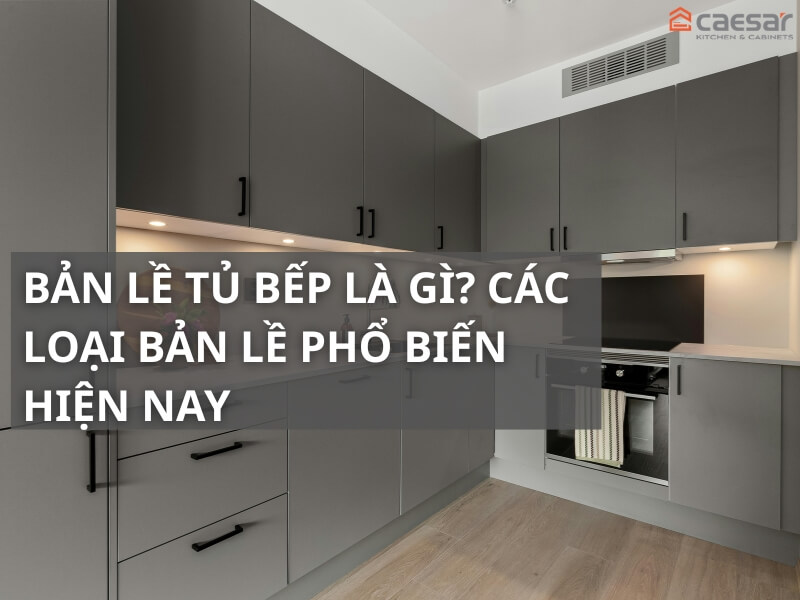 Bản lề tủ bếp là gì